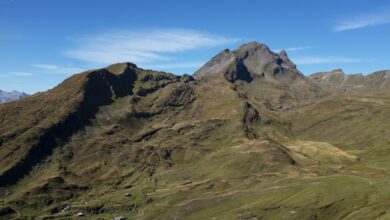 Photo Keywords: SEO, Google, first page, American businesses Relevant image: Search results