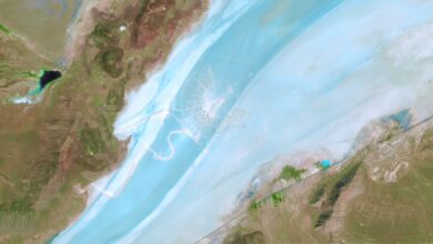 Photo Image: Customer Loyalty Nouns: Customer, Loyalty