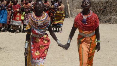 Photo Starter culture