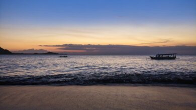 Photo Notion Template