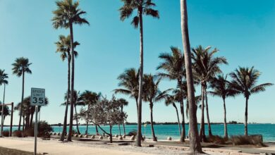 Photo Keywords: SEO, Tampa Relevant image: Skyline view