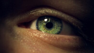 Photo Person, Eye contact