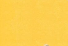 Photo Notion template