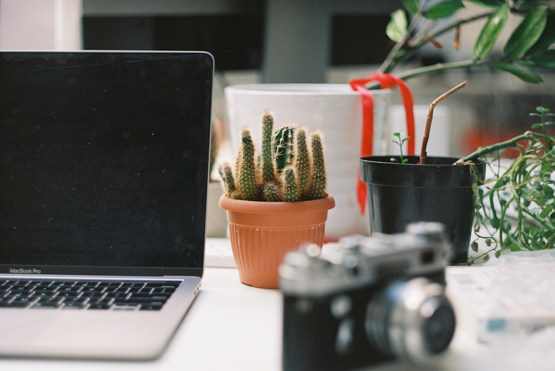 Photo Camera, Laptop