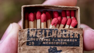 Photo Notion template