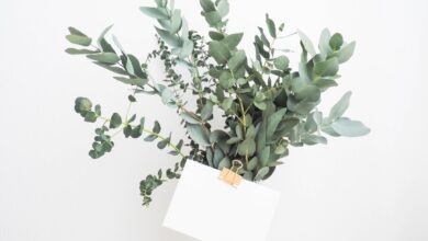 Photo Nouns: self-care, package Image: Gift box