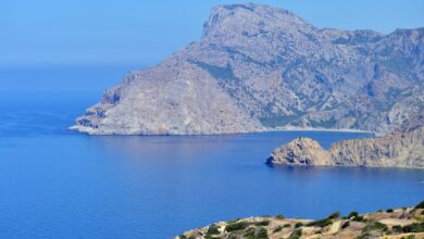 Photo Image: Pathway