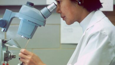 Photo Microscope, Test Tubes