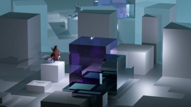 Photo Image: Mirror reflection