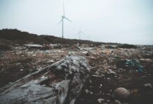 Photo vc sheet - plastic sheet