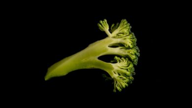 Photo Image: Vegetables