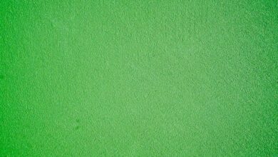 Photo Notion templates