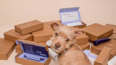 Photo Image: Gift Box Nouns: Self-care, Presents