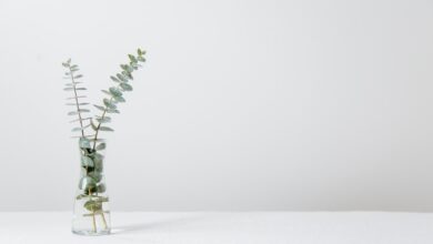 Photo Image: Spa Day