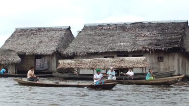 Photo Amazon, Dropshipping