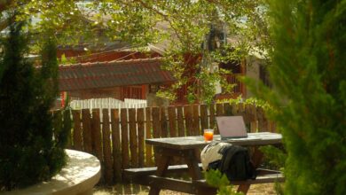 Photo Notion templates