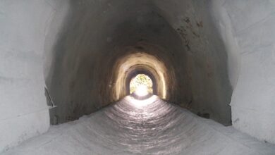 Photo Notion templates