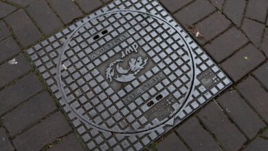 Photo Notion template