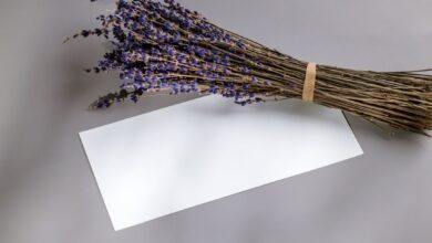 Photo Notion template