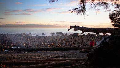 Photo Database, Venture Capital