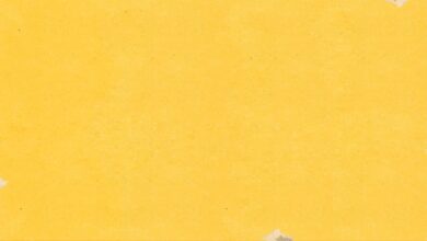 Photo Notion template