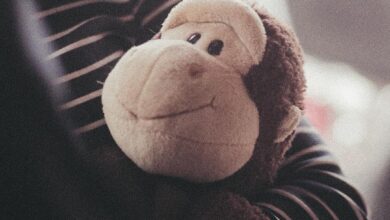 Photo couple, communication