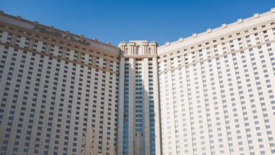 Photo SEO specialist