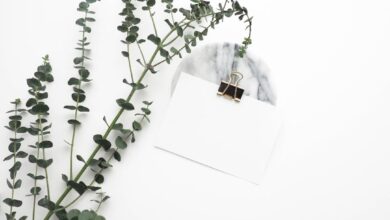 Photo Blank template