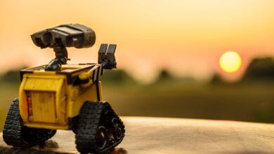 Photo Keywords: autoblogging, AI, lifetime deal Relevant image: Robot blogger