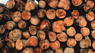 Photo Chainsaw, Stihl