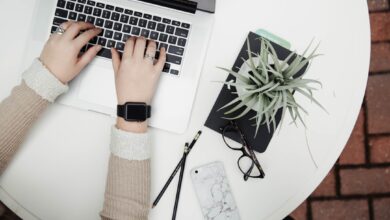 Photo Image: Laptop screen Nouns: WordPress, SEO, consultant
