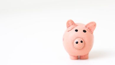 Photo Image: Money, Application