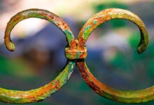 Photo Template, Reality Shift