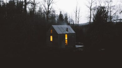 Photo forest cabin
