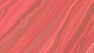 Photo Notion template