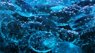 Photo Energy drink cans