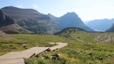 Photo Image: Pathway