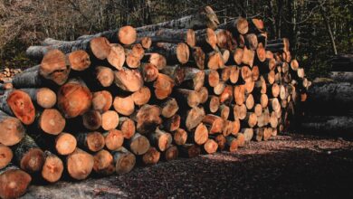 Photo Chainsaw, starting