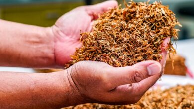 Photo Cigarettes, cigars