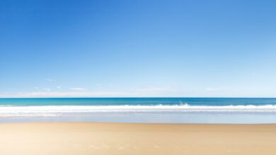 Photo 1 Beach 2 Palm trees 3 Volcano 4 Surfboard 5 Luau 6 Hula dancer 7 Pineapple 8 Lei 9 Ukulele 10 Sunset