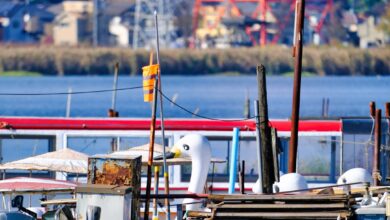 Photo 1 Creator 2 UGC agency