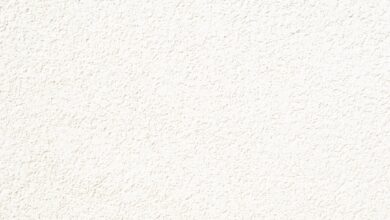 Photo 1 White label SEO 2 Local business