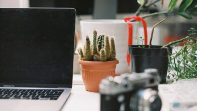 Photo Camera, Laptop