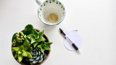 Photo 1 Notebook 2 Pen