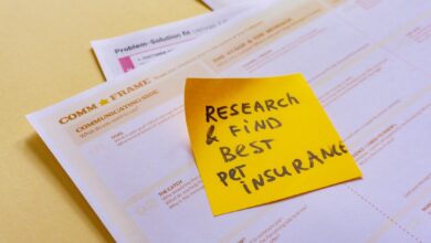 Photo Notion template