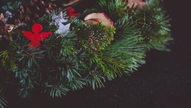 Photo Smashing items