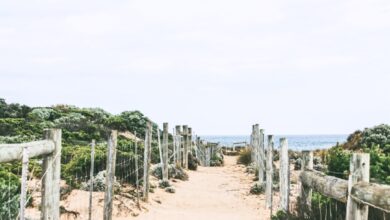 Photo 1 Laptop 2 Email 3 Marketing 4 Australia 5 Audience 6 Campaigns