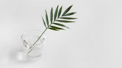 Photo Keywords: cannabis, SEO Relevant generic image: Marijuana leaf