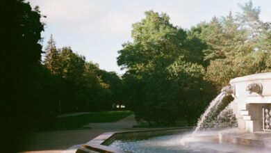 Photo 1 Search engine 2 Optimization