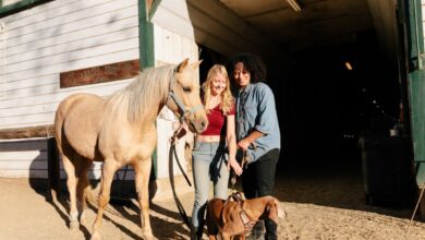 Photo Scrapyard, Lead pile